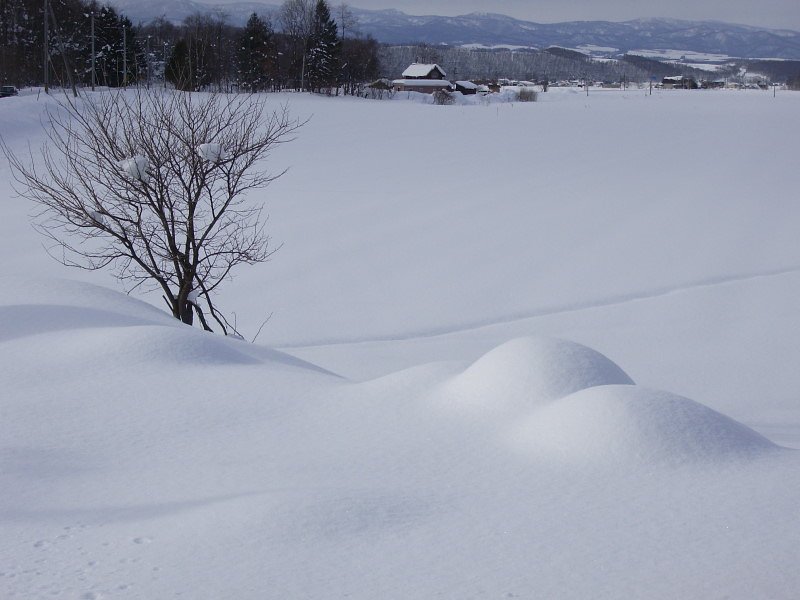 雪のおしり．．．