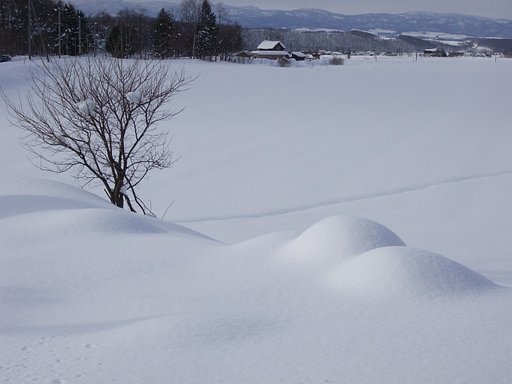 雪のおしり．．．