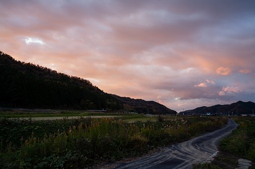 雲ばかりの夕焼け・・。
