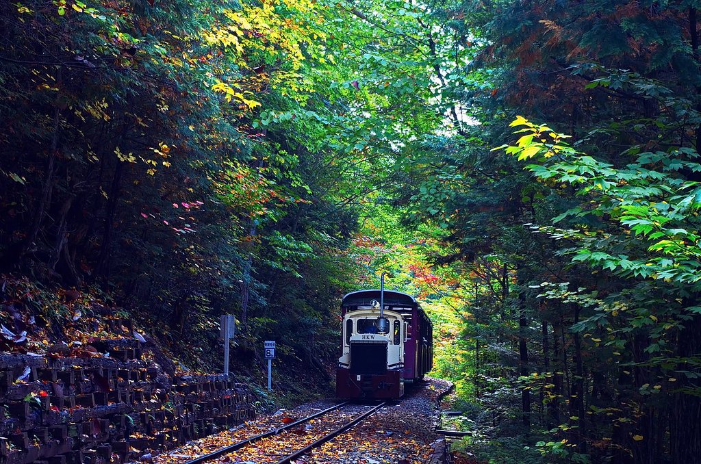 赤沢森林鉄道