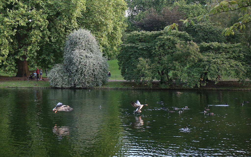 旅先にて：セント・ジェームズ公園