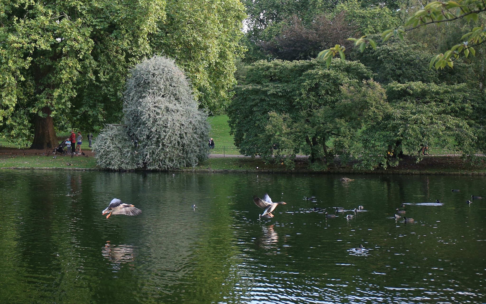 旅先にて：セント・ジェームズ公園