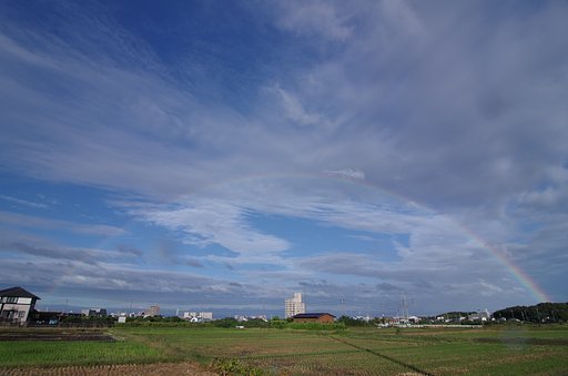 【秋】嵐が残したもの