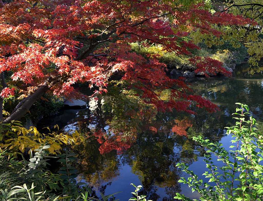 旧安田庭園