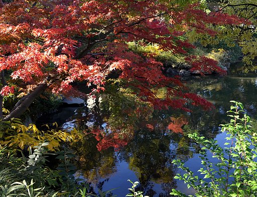 旧安田庭園