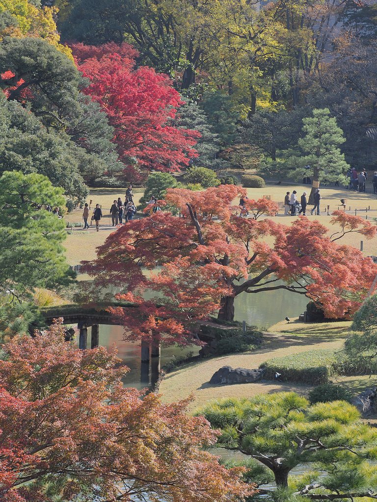 小春の庭園