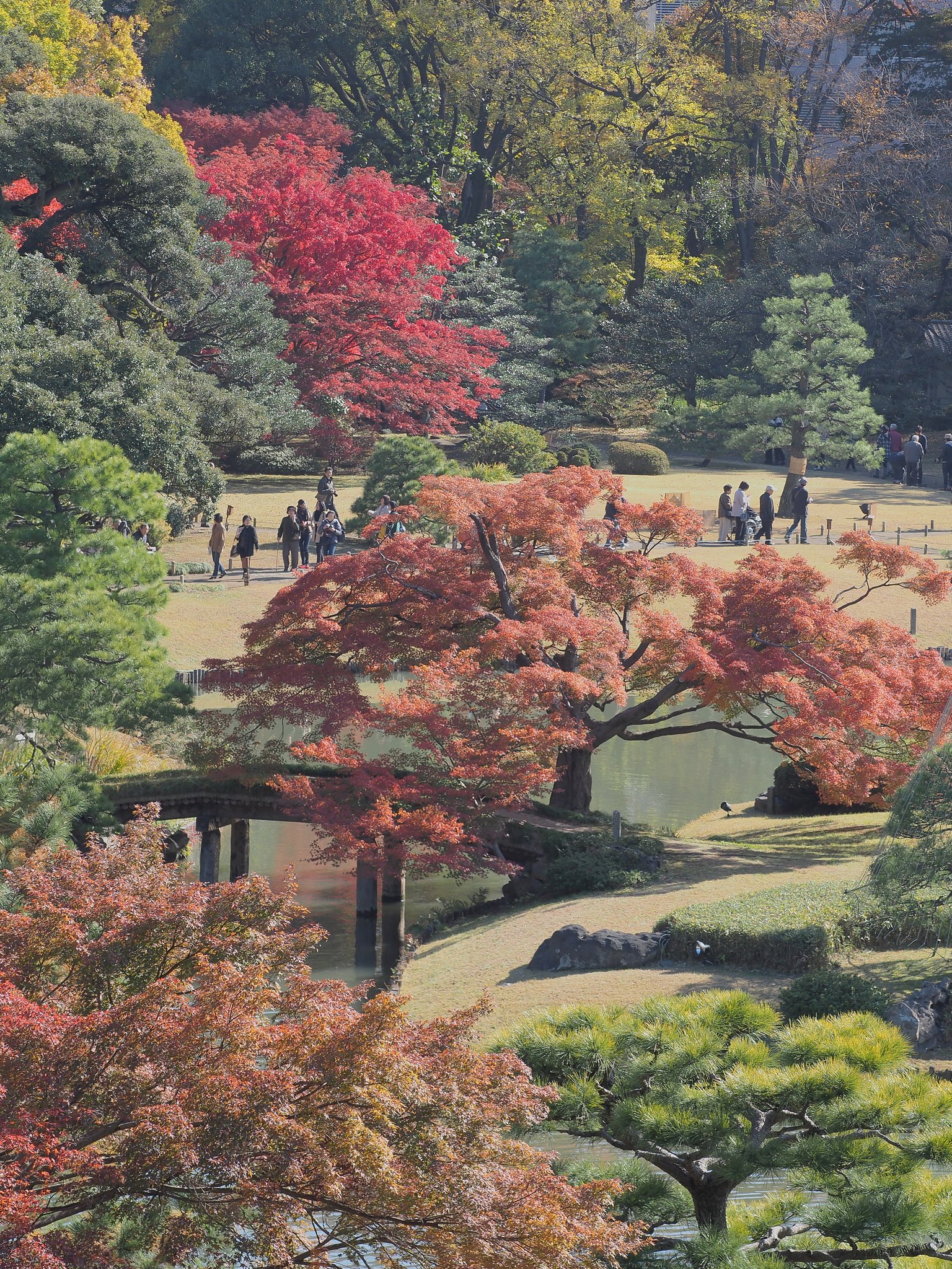 小春の庭園