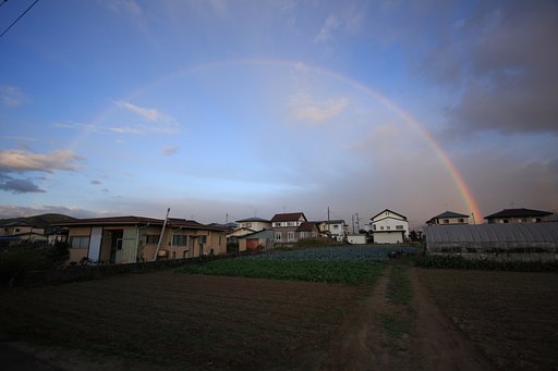Rainbow
