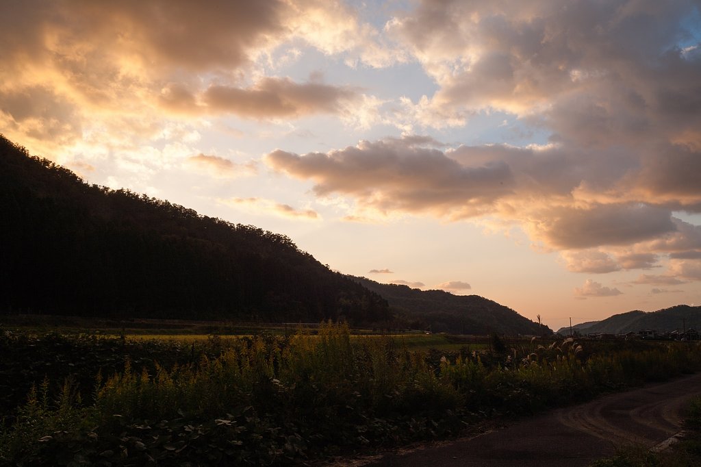 淡い夕焼けに。