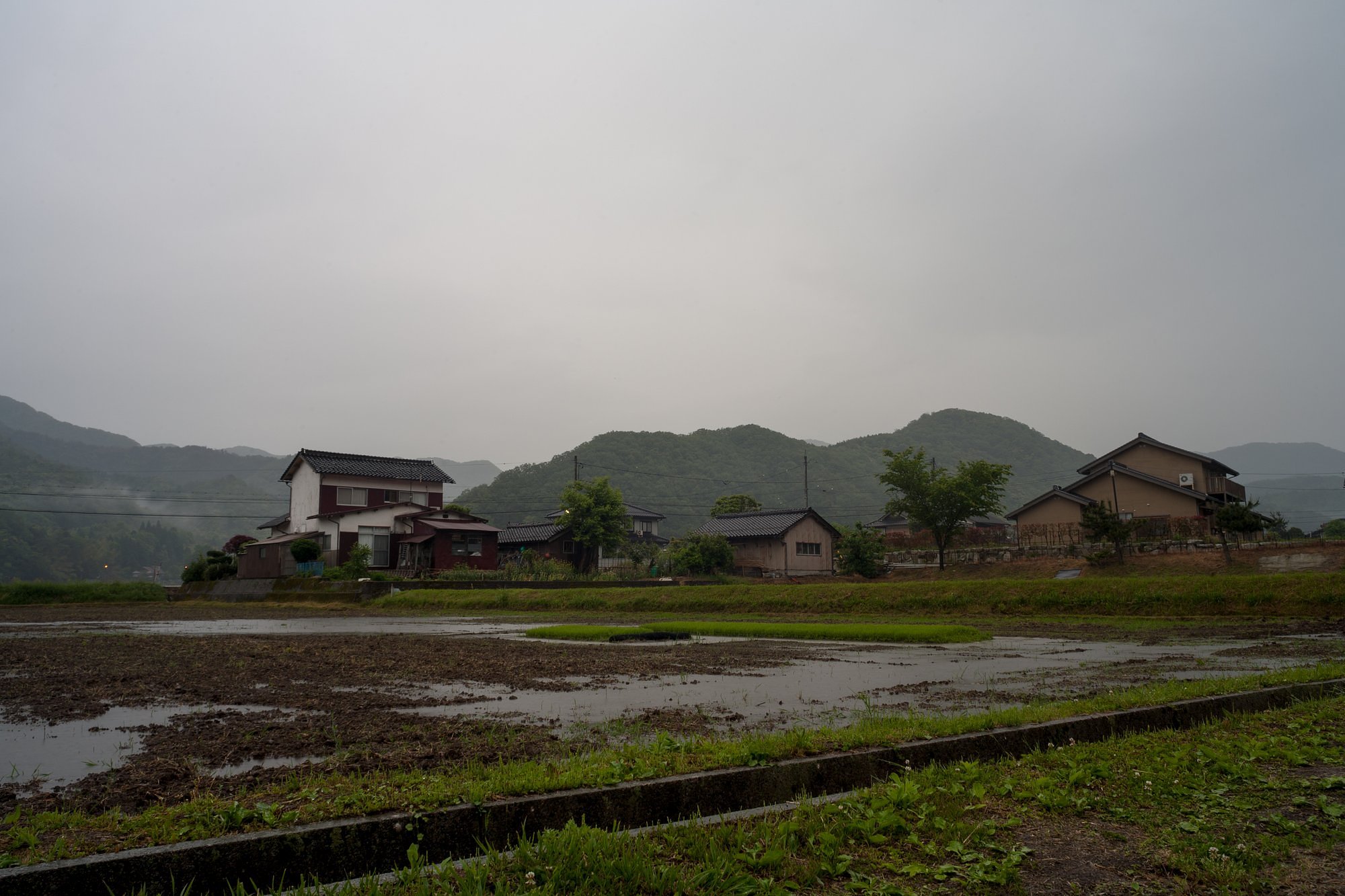 雨降の朝・・。