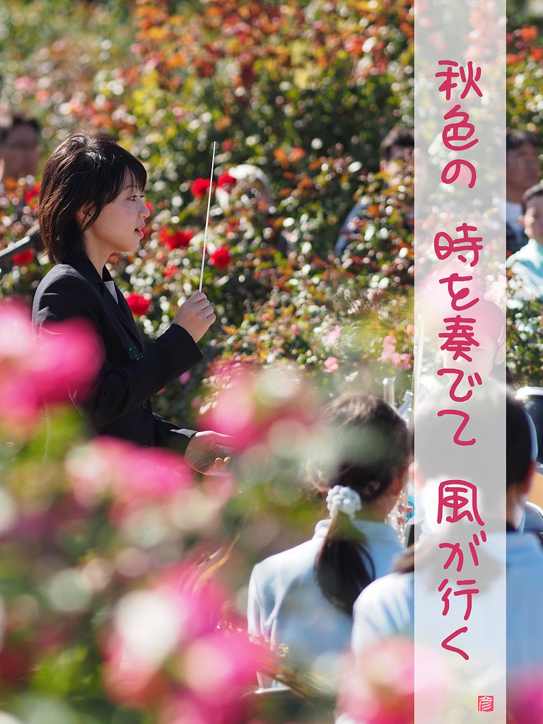 【秋】の色