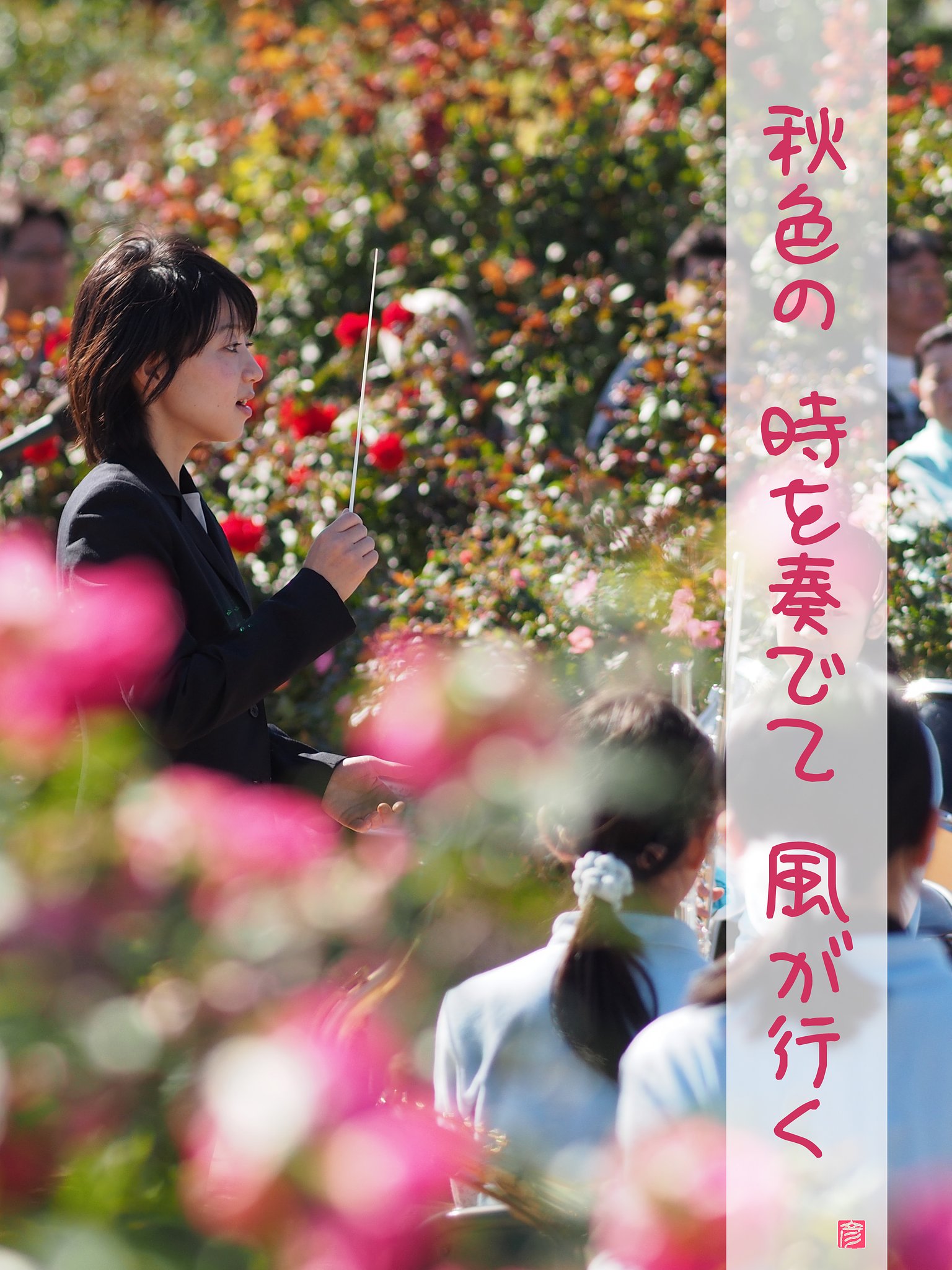 【秋】の色