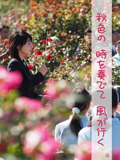 【秋】の色