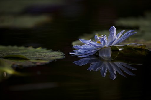静寂