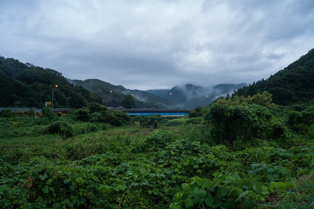 雨降りの朝・・。
