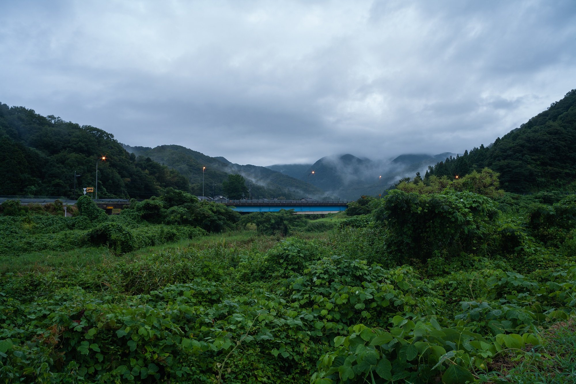 雨降りの朝・・。