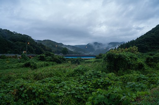 雨降りの朝・・。