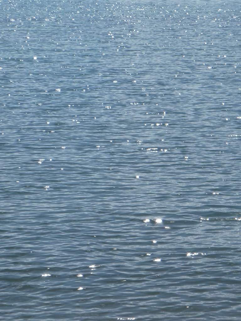 水面キラッー！