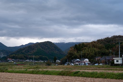 すこし紅葉してきました。
