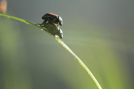 スリル満点