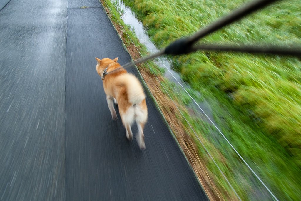 激しい雷雨も小雨に・・。