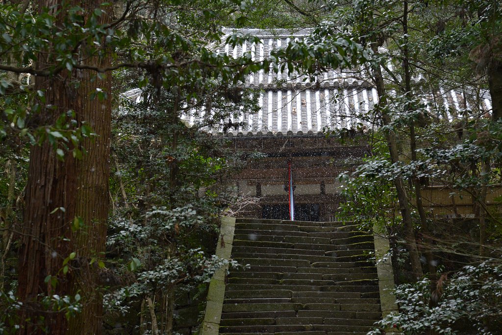 小雪舞う山寺
