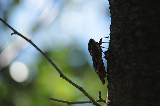 夏の終わり
