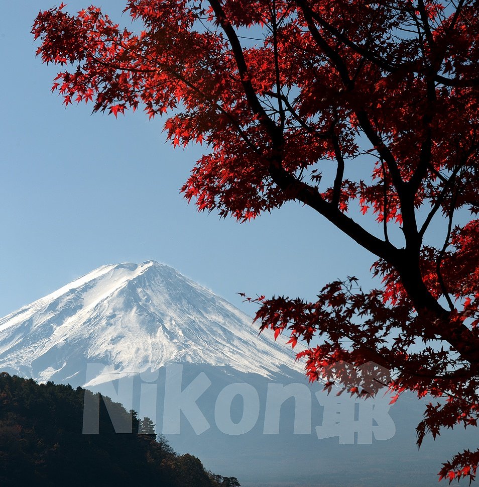2013　河口湖紅葉