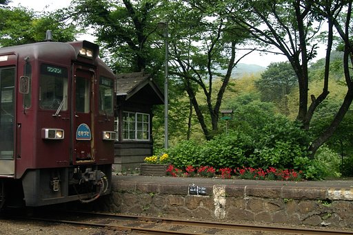 3月10日の写真