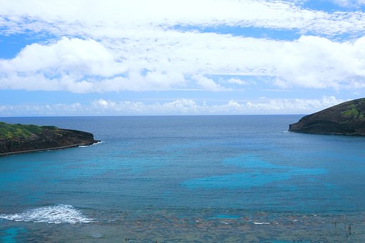ハナウマベイ　Ⅱ