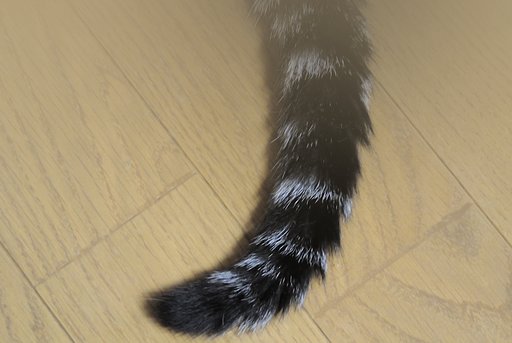 【jjj】   Ｊ