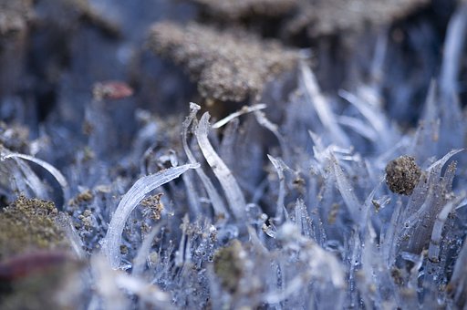 立春なのに霜柱