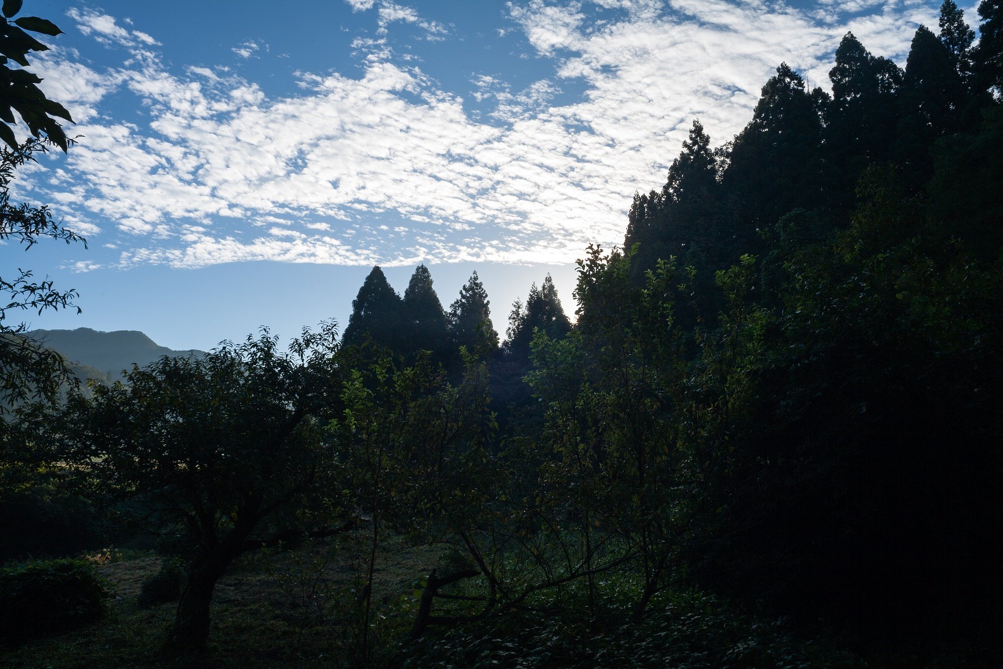 朝日の出の時間ですが・・。