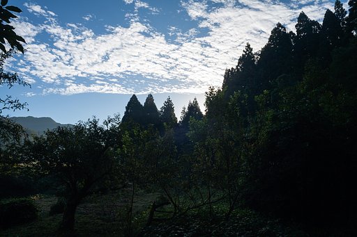 朝日の出の時間ですが・・。