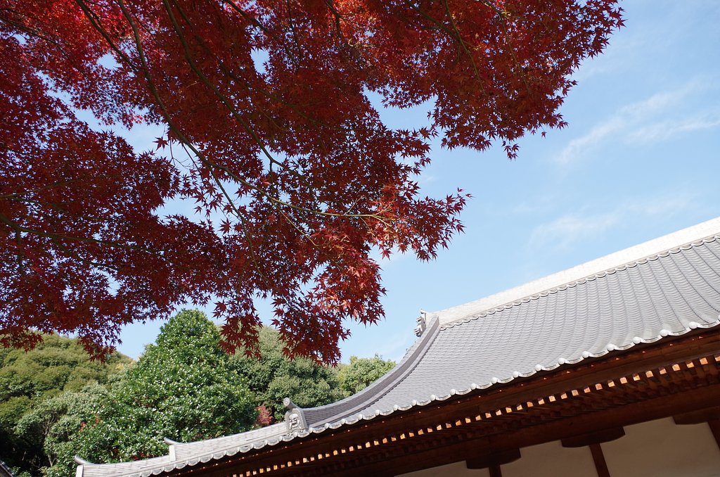 紅葉寺