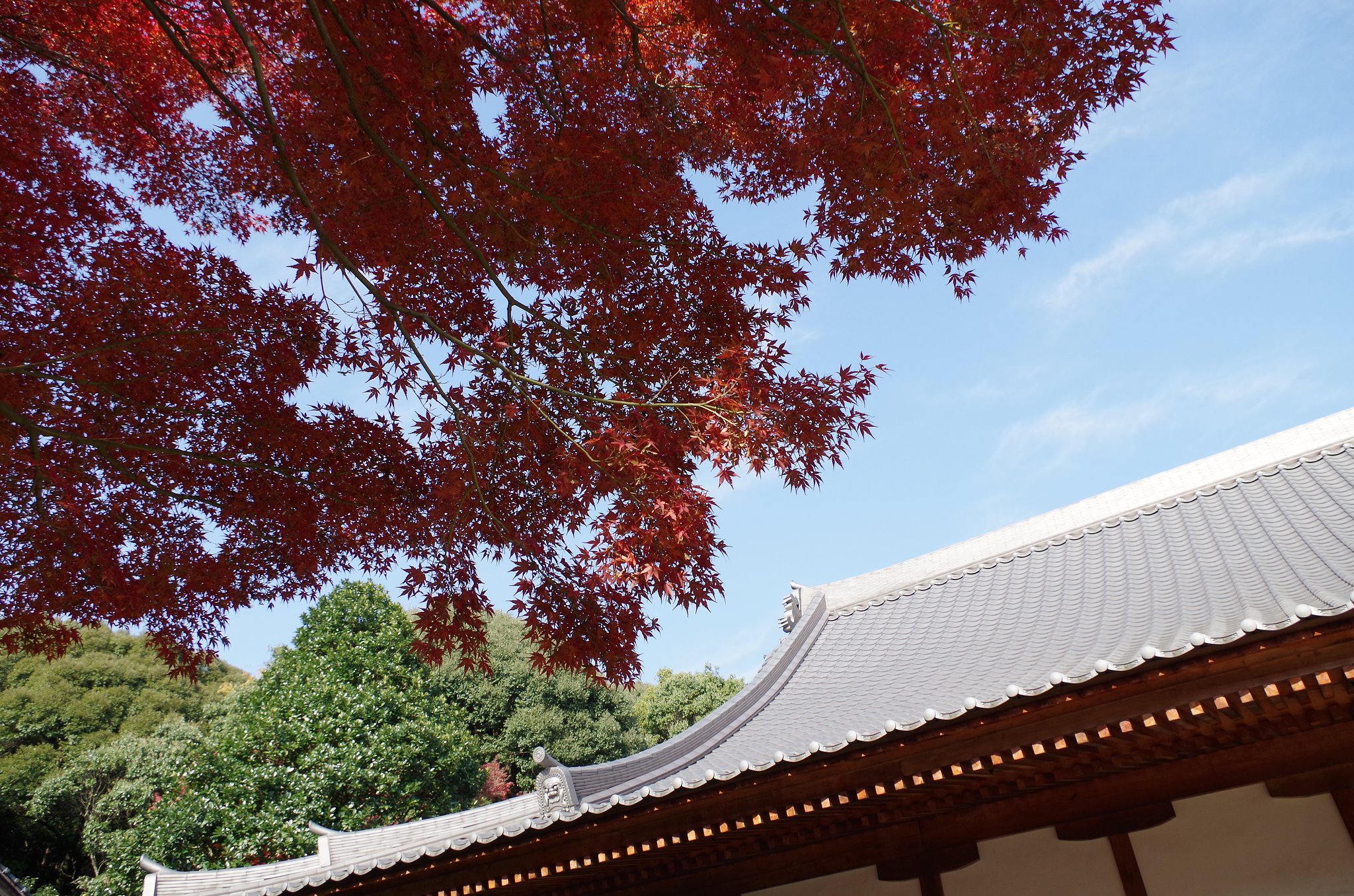 紅葉寺
