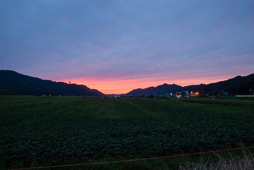 北西の空が赤く焼けて・・。