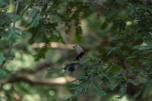 9月16日の写真