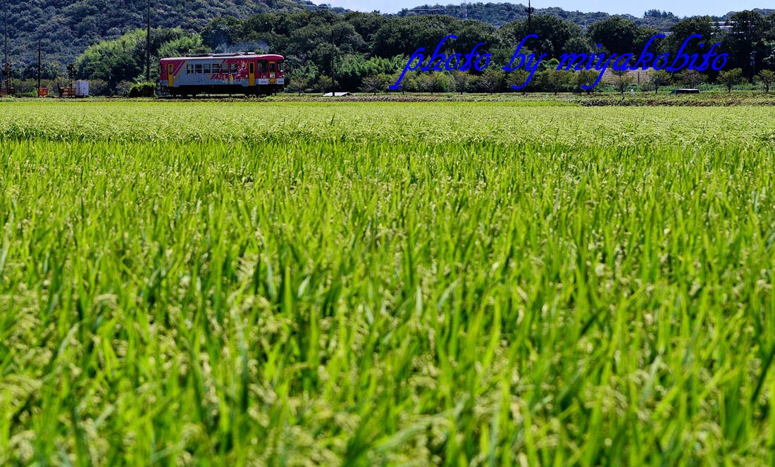 北条鉄道