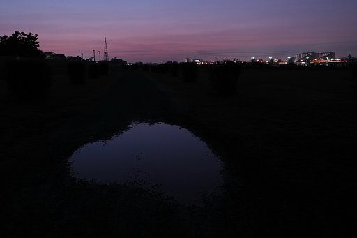 夜明けの水たまり