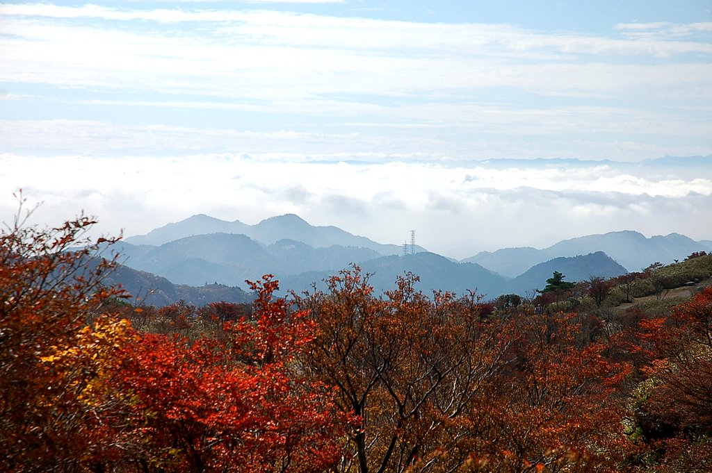 山の紅葉