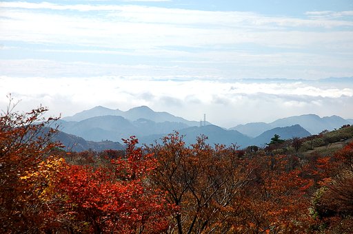 山の紅葉