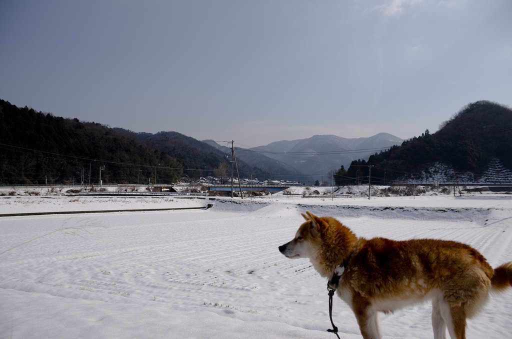 久しぶりの晴れの日。