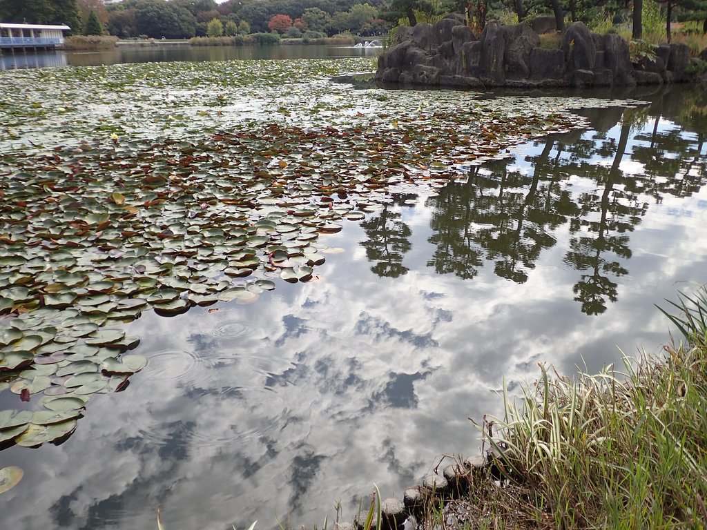 秋の公園