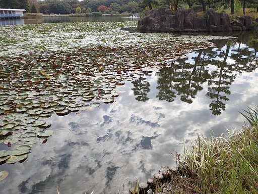 秋の公園