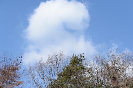春よ来い
