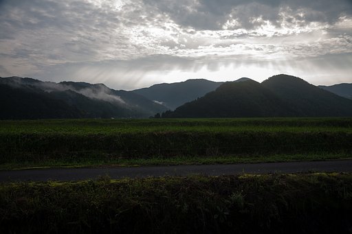 天使の梯子が無数に。