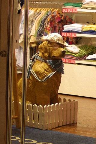 お店の【顔】