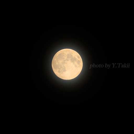 中秋の名月