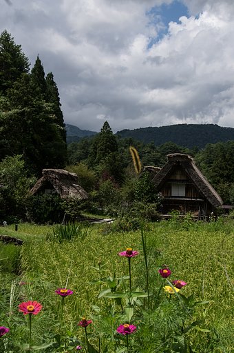 晩夏のスケッチ